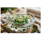 Vela Decorativa Diseño Flor De Loto 8