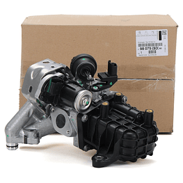 EGR SUSTENTABLE AL MEDIO AMBIENTE HDI 2.0 MOTOR DW10FC (Leer descripción)