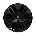 CONO TAPA DE LLANTA CITROEN