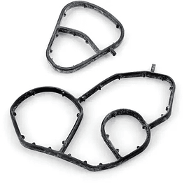 EMPAQUETADURA BASE FILTRO DE ACEITE (SEGUN CHASIS O VIN)