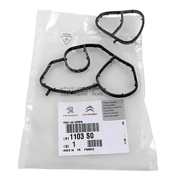 EMPAQUETADURA BASE FILTRO DE ACEITE (SEGUN CHASIS O VIN)