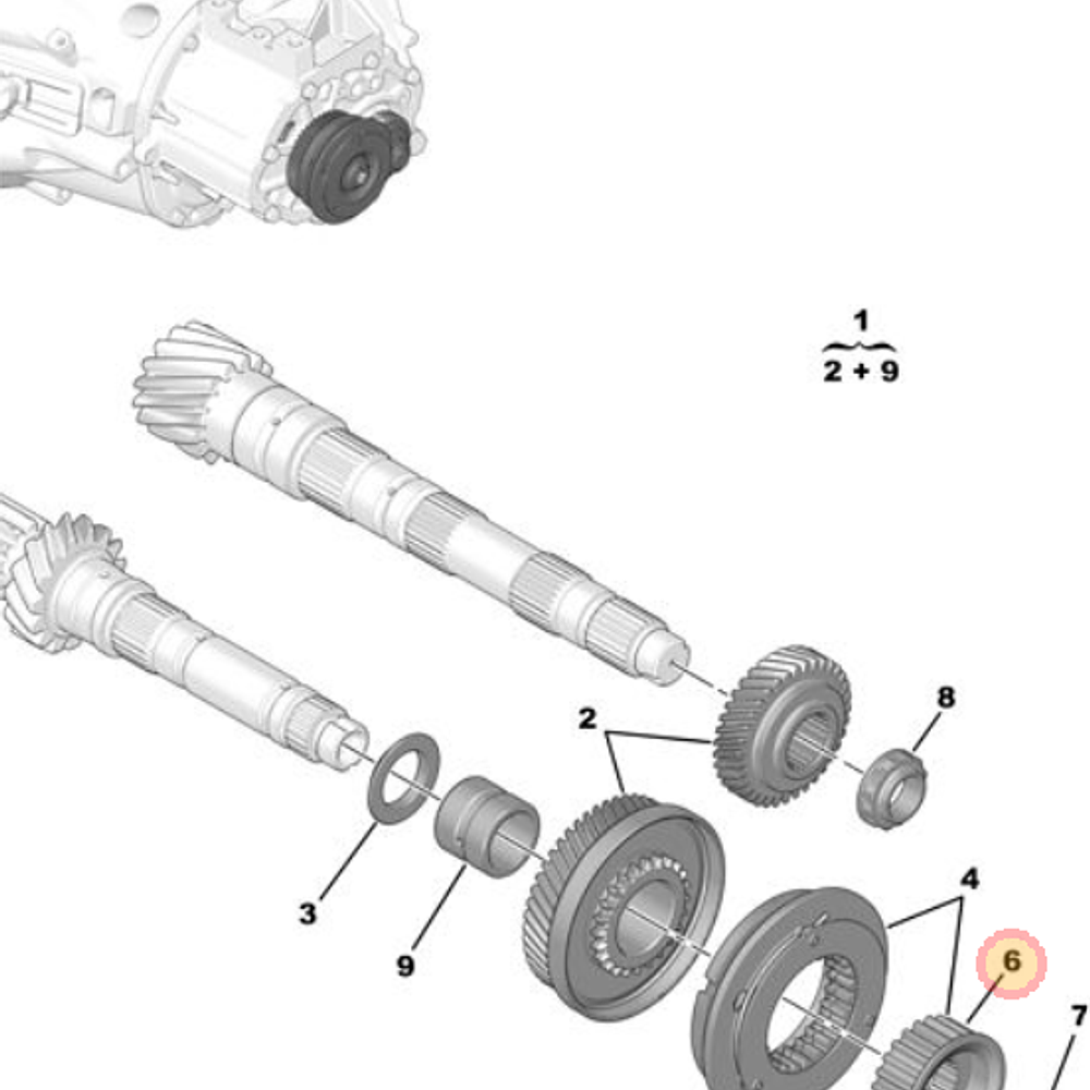 PIÑON DE QUINTA (SEGUN CHASIS O VIN)