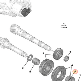 PIÑON DE QUINTA (SEGUN CHASIS O VIN)