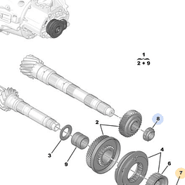 TUERCA EJE PRIMARIO CAJA DE CAMBIOS (SEGUN CHASIS O VIN)