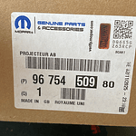 NEBLINERO PEUGEOT-CITROEN (SEGUN CHASIS O VIN) (DESCRIPCION LEER)