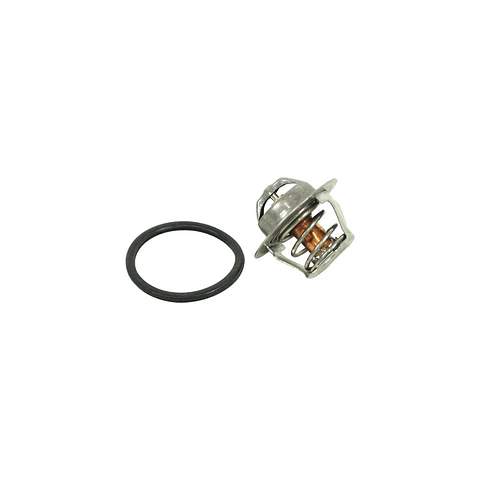 TERMOSTATO PARA RENAULT CLIO II Y MEGANE MEGANE 1,6 16V MOTOR K4M (89G)