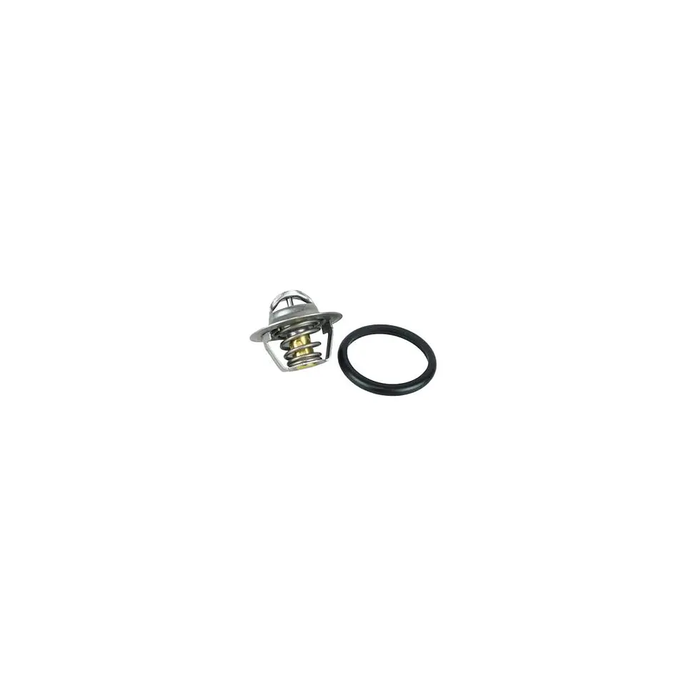 TERMOSTATO PARA RENAULT FLUENCE, MEGANE III 2.0 M4R SUPERIOR (95º) 1