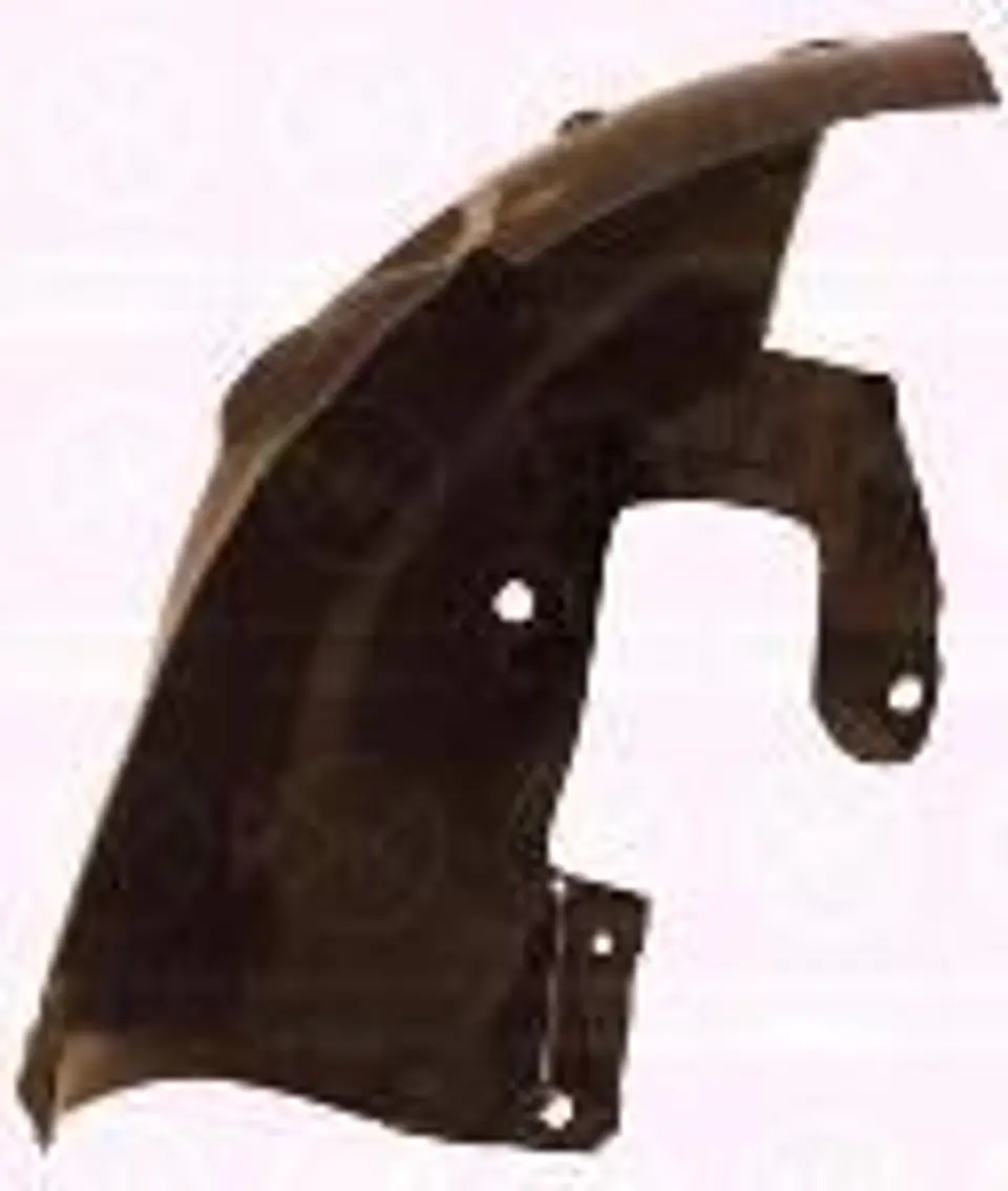 GUARDAFANGO DELANTERO IZQUIERDO ANTERIOR PARA RENAULT SCENIC II 2004-2009 1