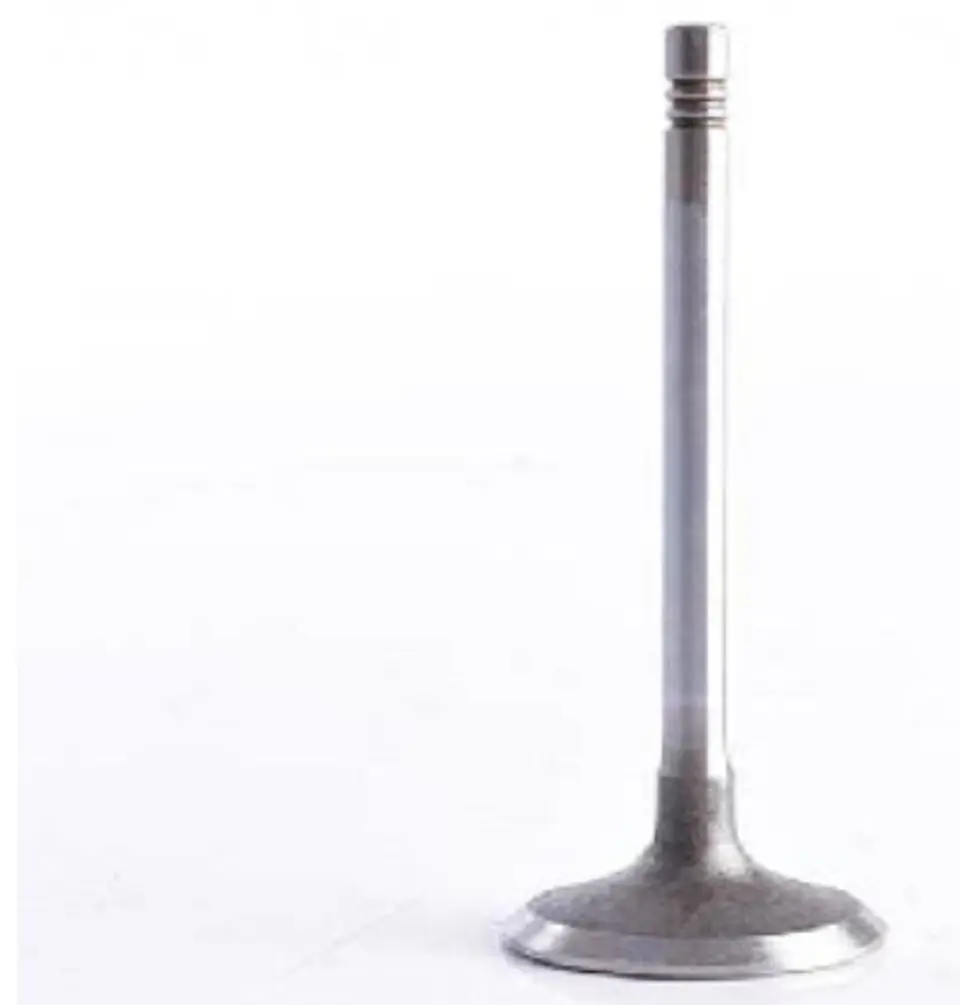 VALVULA MOTOR ADMISION JUEGO DE 4 PARA PEUGEOT 206 (hasta 2005), 206 (2006-2009), 206 HDI (2002-2005), 206 HDI (2006-2009) 1