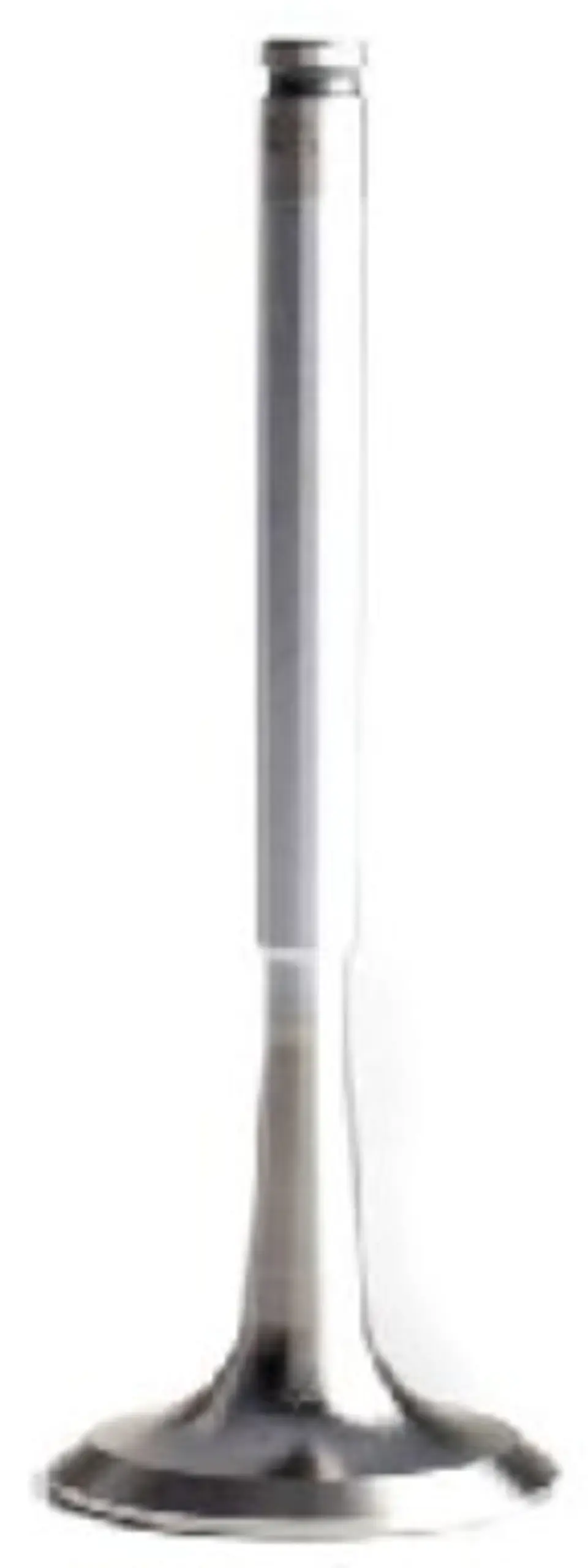 VALVULA MOTOR ESCAPE JUEGO DE 4 PARA PEUGEOT 206 (hasta 2004), 206 (2004-2007), 307 (2002-2005), 307 (2006-2009) 1
