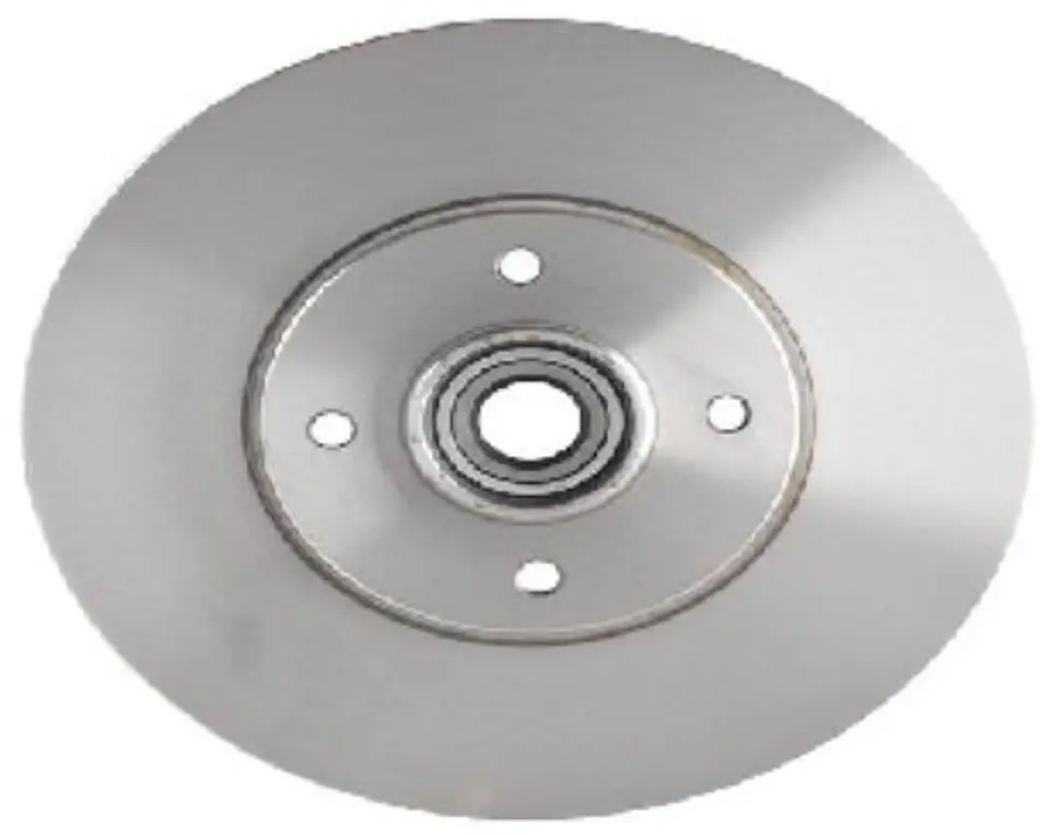 DISCO FRENO TRASERO CON RODAMIENTO PARA RENAULT SCENIC II 1
