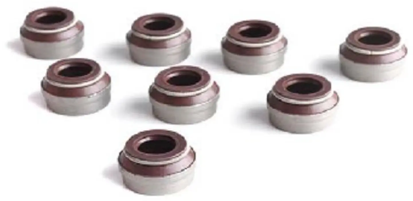 RETEN VALVULA ADMISION Y ESCAPE JUEGO PARA PEUGEOT 404 Y 504 1