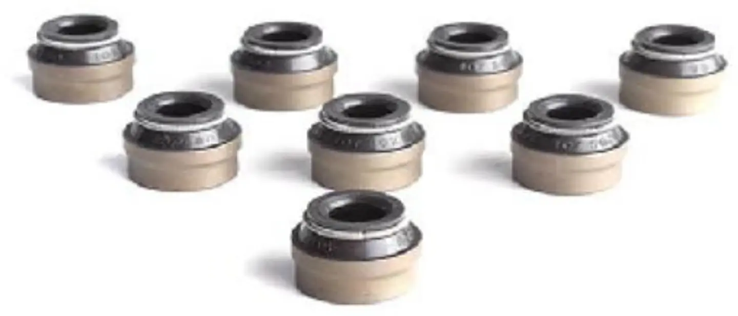 RETEN VALVULA JUEGO VITON PARA PEUGEOT 206 Y 206 CONTACT 1