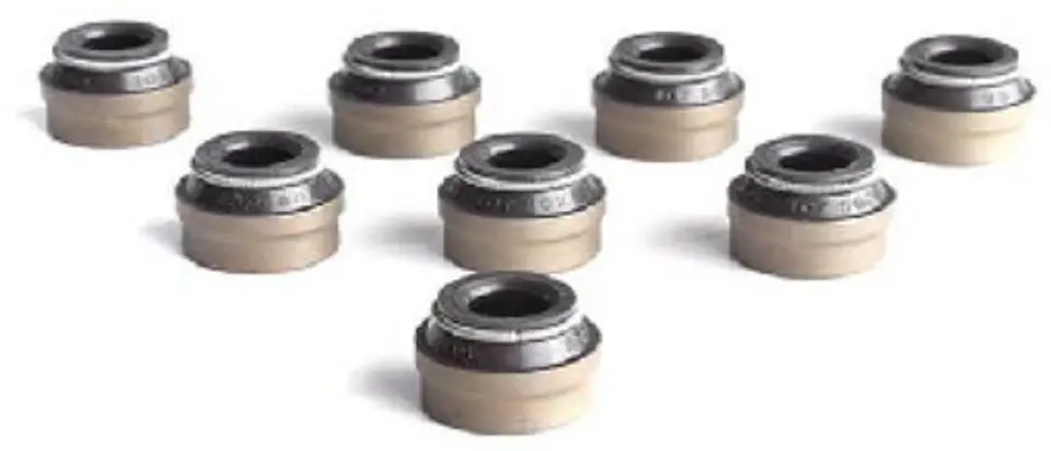 RETEN VALVULA JUEGO VITON PARA PEUGEOT 206 Y 206 CONTACT 1