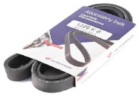 CORREA ALTERNADOR CON AIRE DIRECCION ASISTIDA PARA PEUGEOT 407