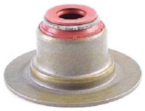 RETEN VALVULA ADMISION Y ESCAPE JUEGO PARA PEUGEOT 406 Y 206