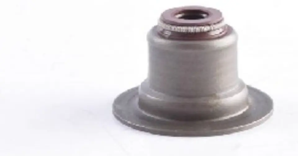 RETEN VALVULA ADMISION Y ESCAPE JUEGO PARA PEUGEOT 3008 HIBRIDO 1