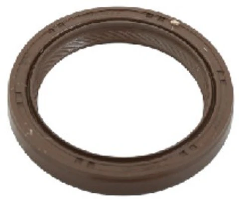 RETEN CIGUENAL DELANTERO PARA RENAULT DUSTER H4M Y ARKANA