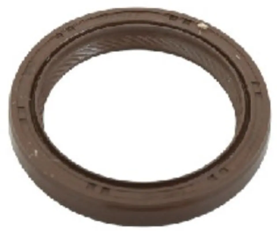 RETEN CIGUENAL DELANTERO PARA RENAULT DUSTER H4M Y ARKANA 1
