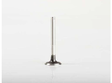 VALVULA MOTOR ESCAPE JUEGO DE 4 PARA RENAULT 19 TXE CHAMADE - GIEFFE