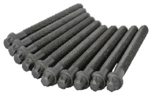 PERNO CULATA SET PARA RENAULT KANGOO, MEGANE Y SCENIC