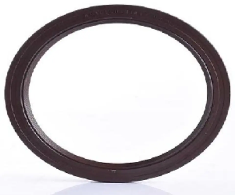 RETEN CIGUENAL TRASERO PARA PEUGEOT 406, 206 Y PARTNER 1