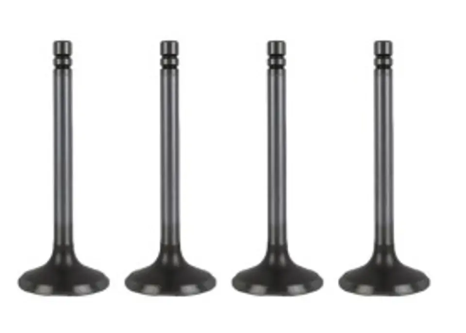 VALVULA ADMISION JGO DE 4 PARA RENAULT R.19 1.6/CLIO 1.6 ARG (C3L) 1