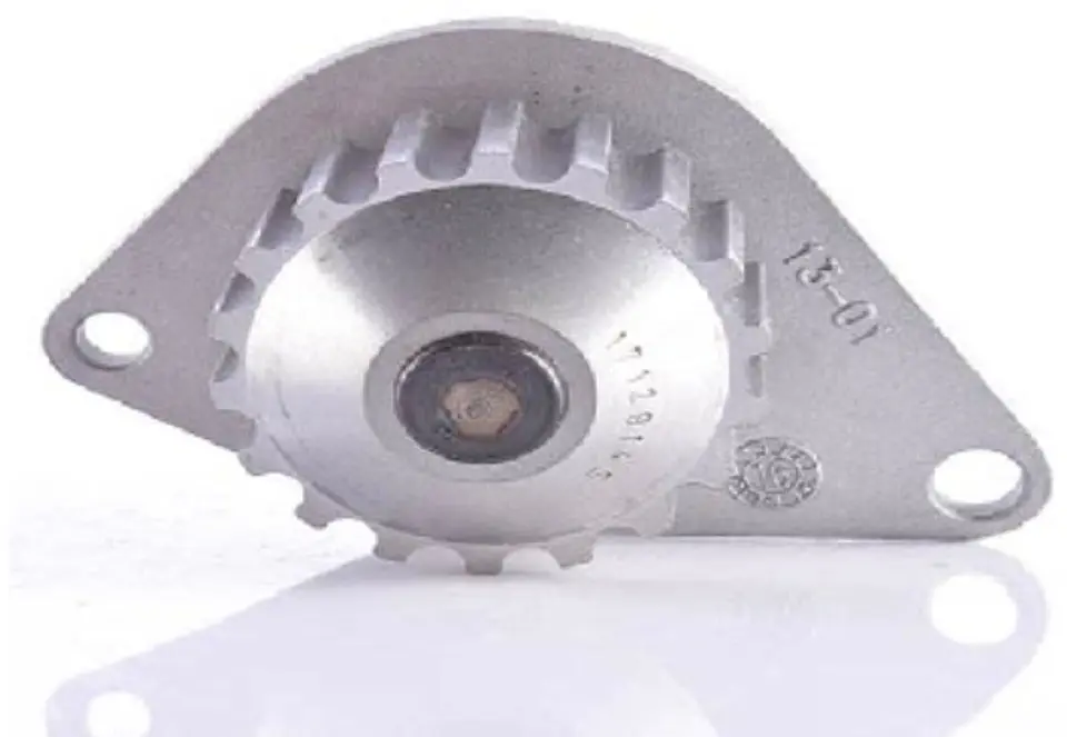 BOMBA AGUA 18 DIENTES PARA PEUGEOT 206, PARTNER Y 207 1