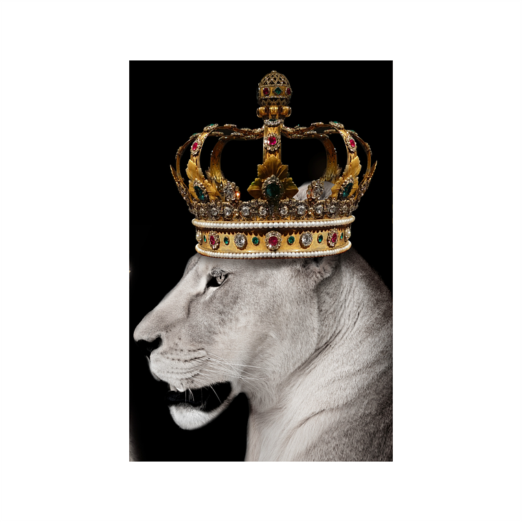 Quadro Decorativo Leoa Coroa 2