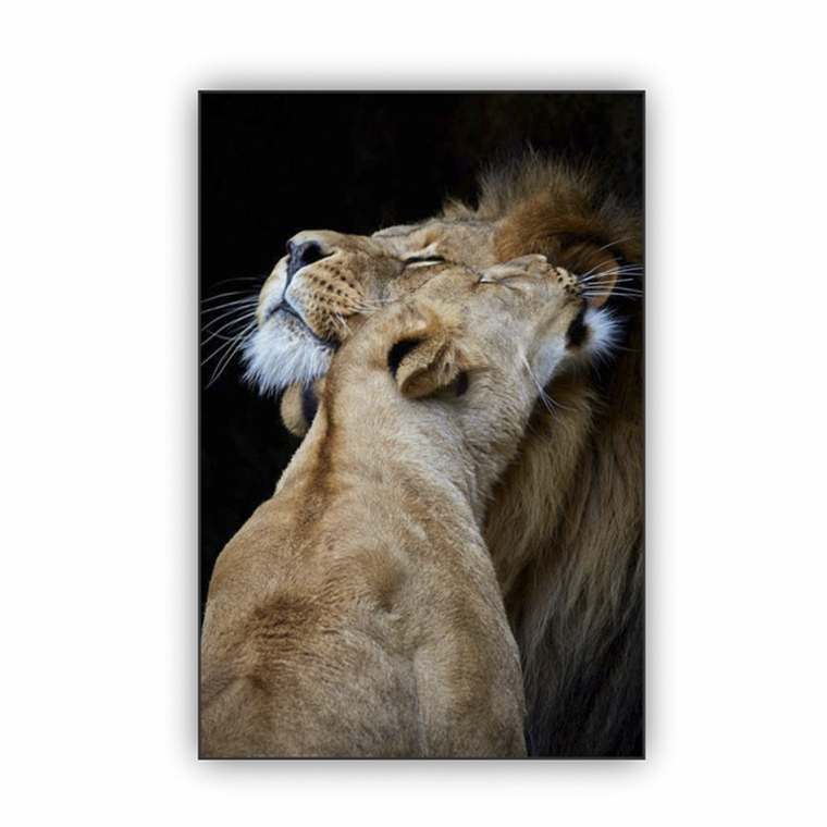 Quadro Decorativo Leão Leoa Casal  2