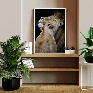 Quadro Decorativo Leão Leoa Casal 