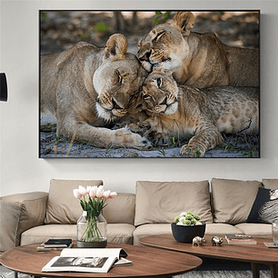 Quadro Decorativo Leão Family Three