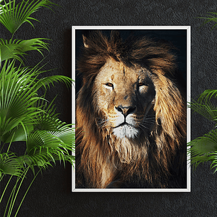Quadro Decorativo Leão Selvagem