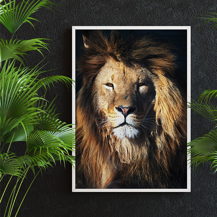 Quadro Decorativo Leão Selvagem 1