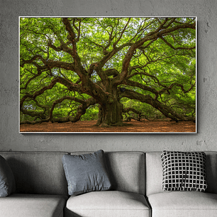 Quadro Decorativo Árvore Impactante