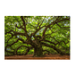 Quadro Decorativo Árvore Impactante - Thumbnail 2