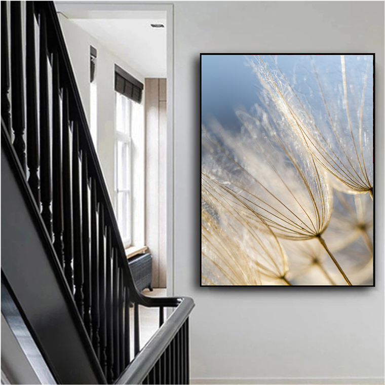 Quadro Decorativo Flores Dente de Leão Delicado 1