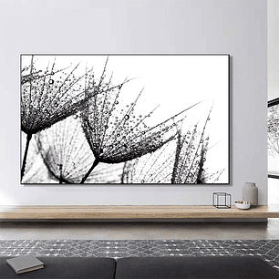 Quadro Decorativo Flores Dente de Leão Orvalho Preto e Branco 