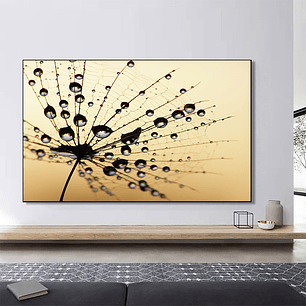 Quadro Decorativo Flores Dente de Leão Preto Delicado