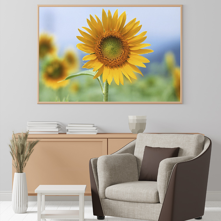 Quadro Decorativo Flores Girassol 1