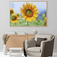 Quadro Decorativo Flores Girassol - Thumbnail 1