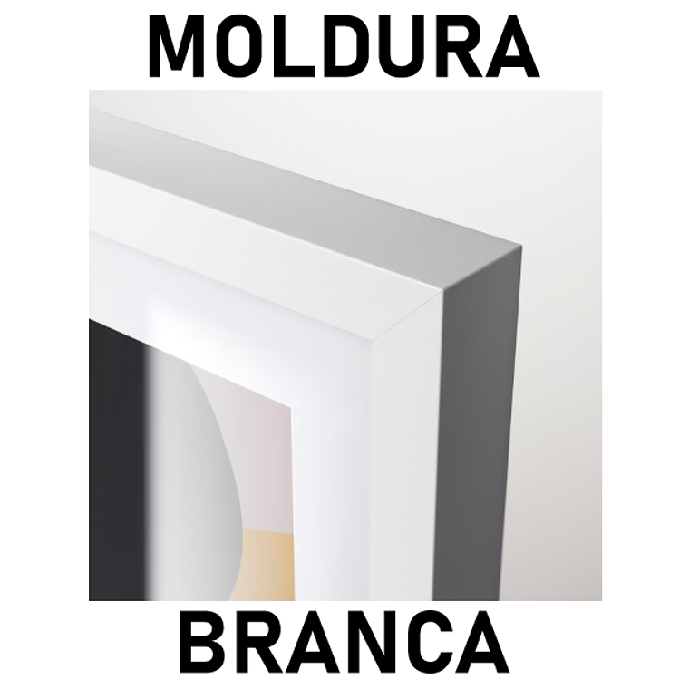 Quadro Decorativo Flores Rose e Bege 4