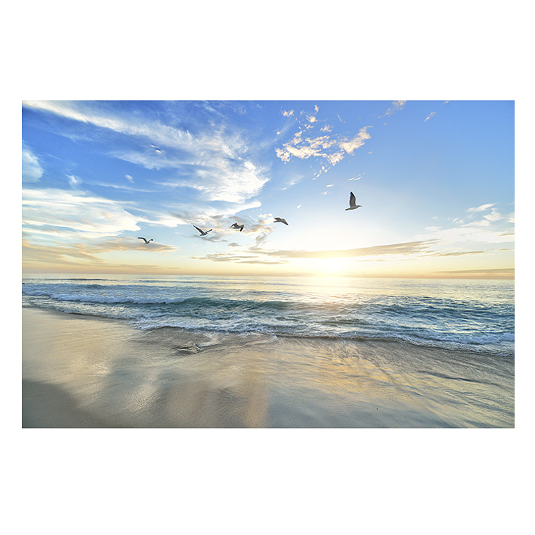 Quadro Decorativo Praia Pássaros 2