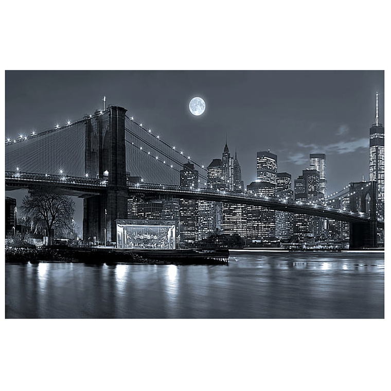 Quadro Decorativo Cidade New York Brookling 2