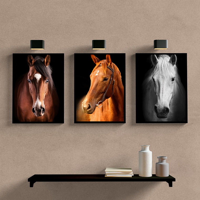 Cavalos Impacto Cores 1