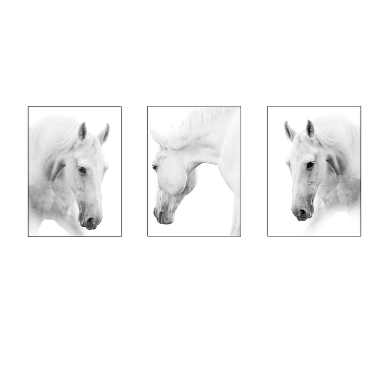 Cavalos Impacto Branco 2