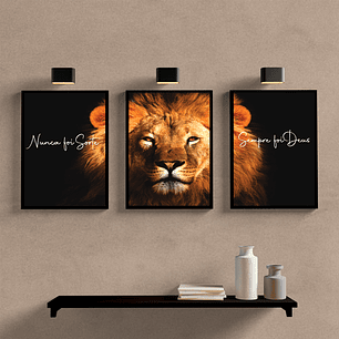 Nunca Foi Sorte Leão Cores