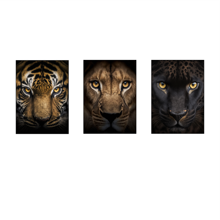 Leão Tigre Pantera Impactante 2