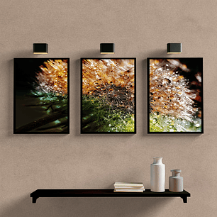 Flor Dente de Leão Colorido