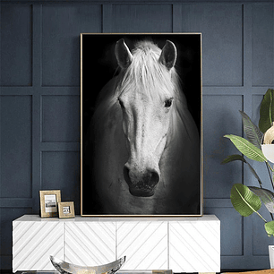 Quadro Decorativo Cavalo Branco Face